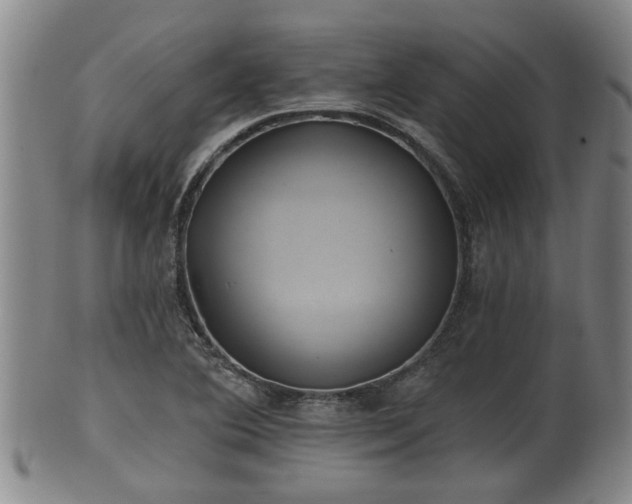 X0000100871364200806271102