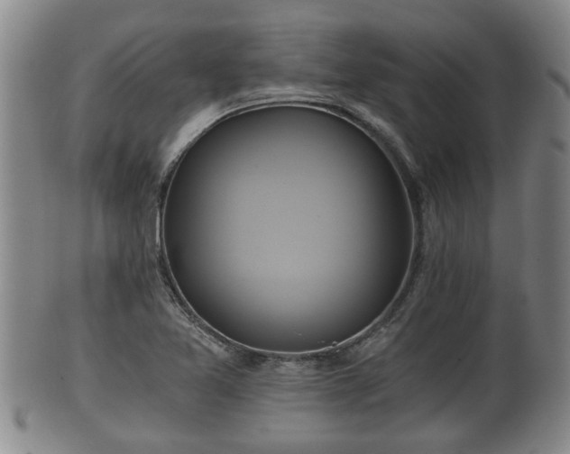 X0000100871365200806271102