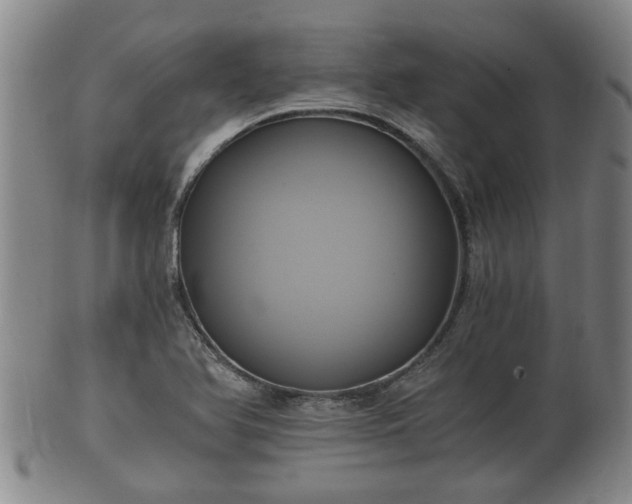 X0000100871366200806271102