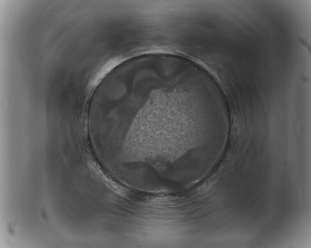 X0000100871367200806271102