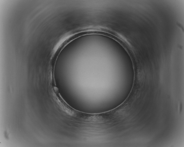 X0000100871368200806271102