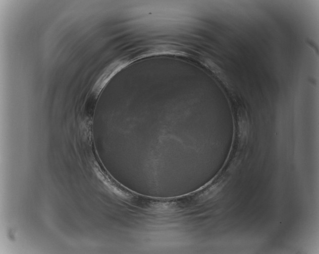 X0000100871369200806271102