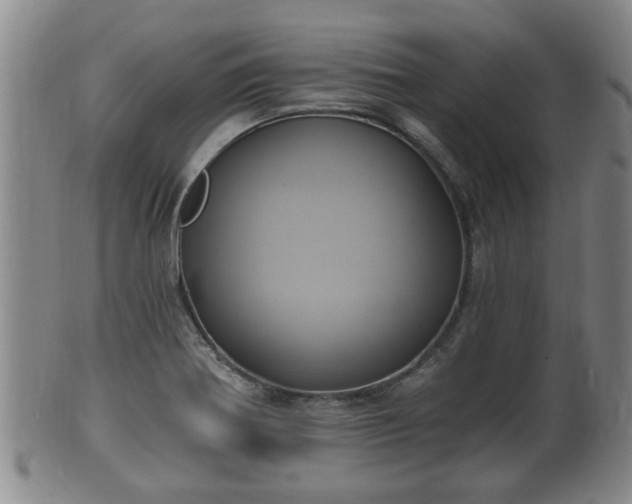 X0000100871370200806271102