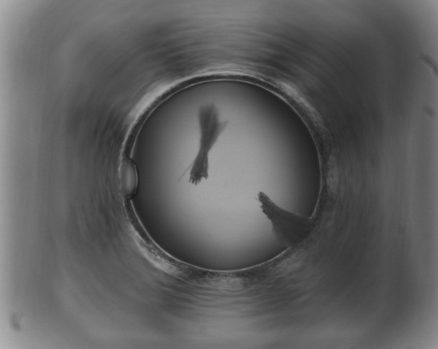 X0000100871372200806271102