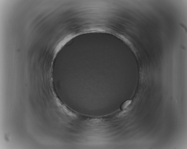 X0000100871373200806271102