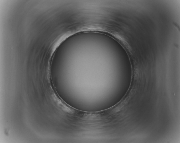 X0000100871374200806271102