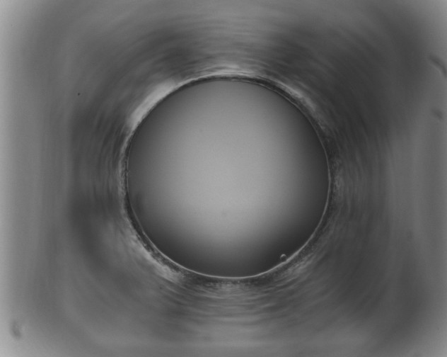 X0000100871375200806271102