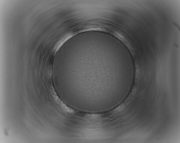 X0000100871377200806271102