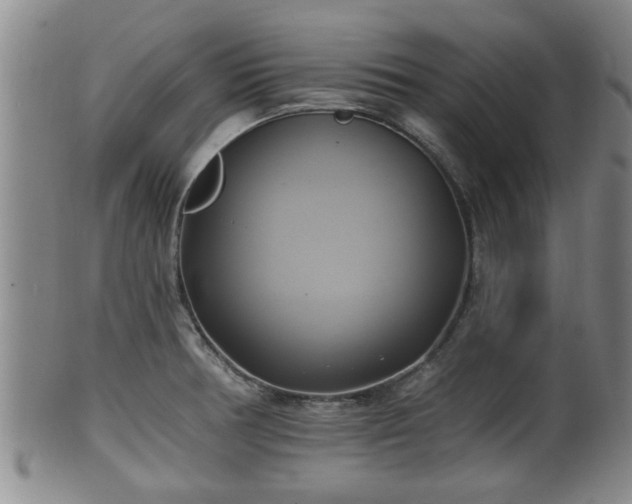 X0000100871378200806271102