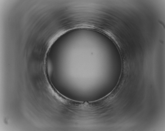 X0000100871379200806271102