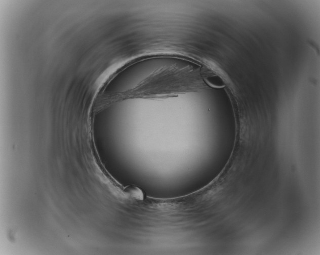 X0000100871380200806271102