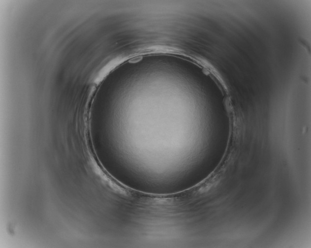 X0000100871381200806271102