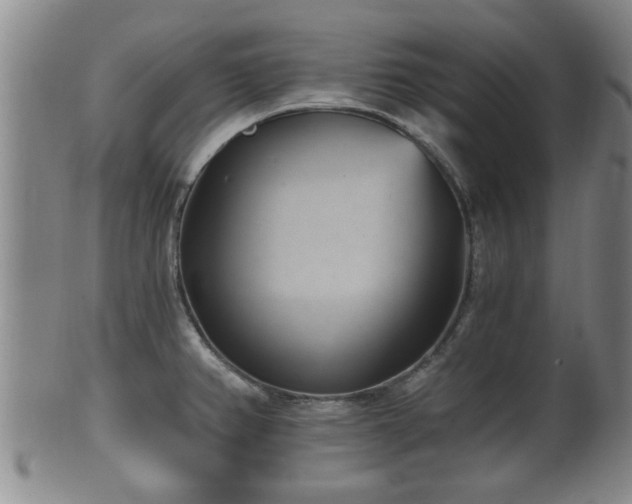 X0000100871382200806271102