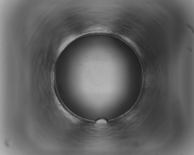 X0000100871383200806271102