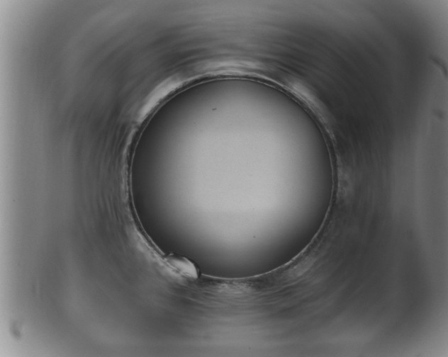 X0000100871384200806271102