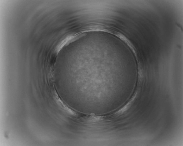 X0000100871385200806271102