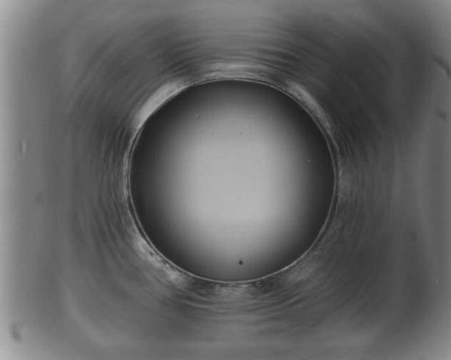 X0000100871386200806271102