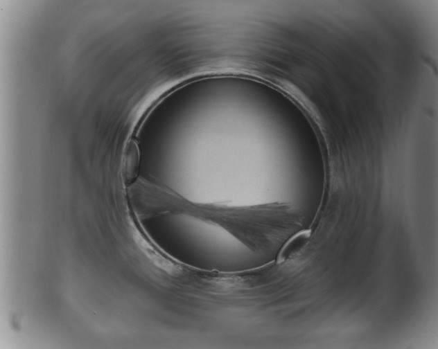 X0000100871388200806271102
