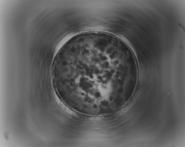 X0000100871389200806271102