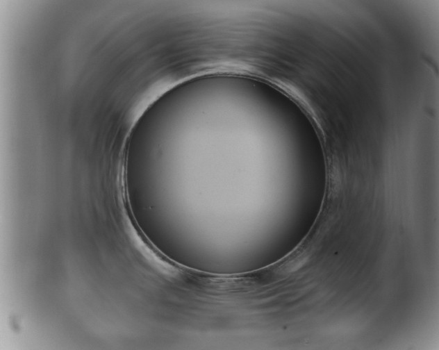 X0000100871391200806271102