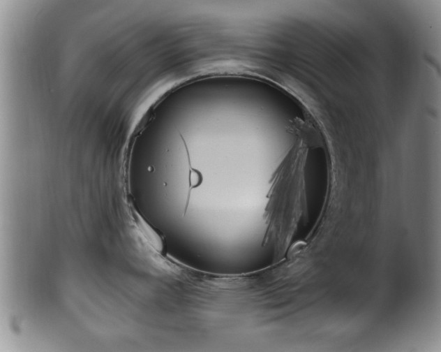 X0000100871392200806271102