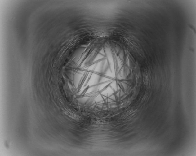 X0000100871393200806271101