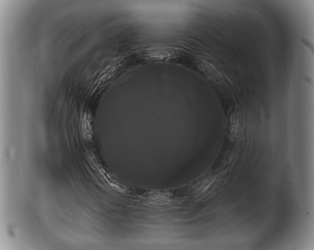 X0000100871394200806271101