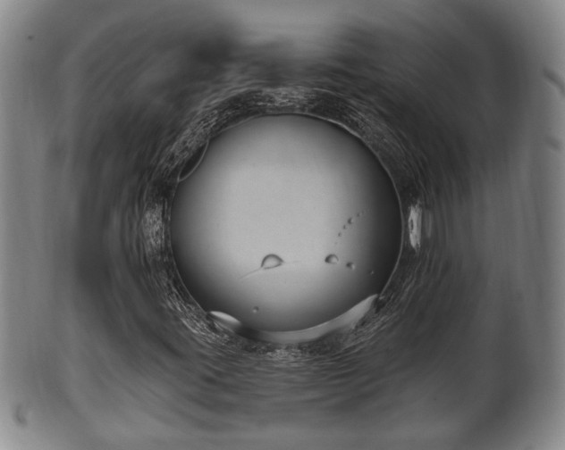 X0000100871395200806271101