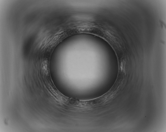 X0000100871396200806271101