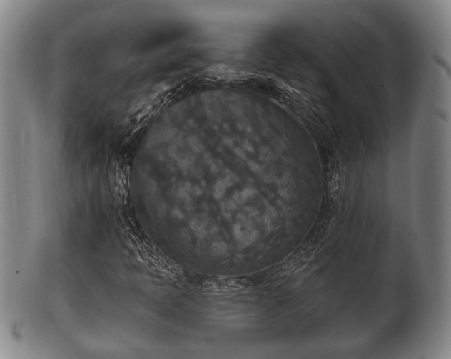 X0000100871397200806271101