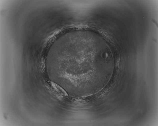 X0000100871398200806271101