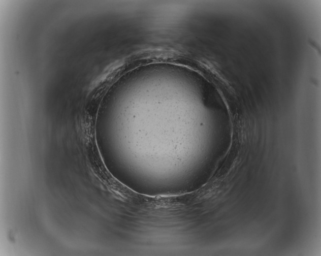 X0000100871399200806271101