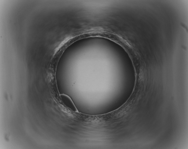 X0000100871400200806271101