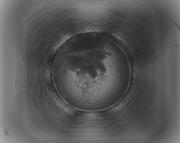 X0000100871401200806271101