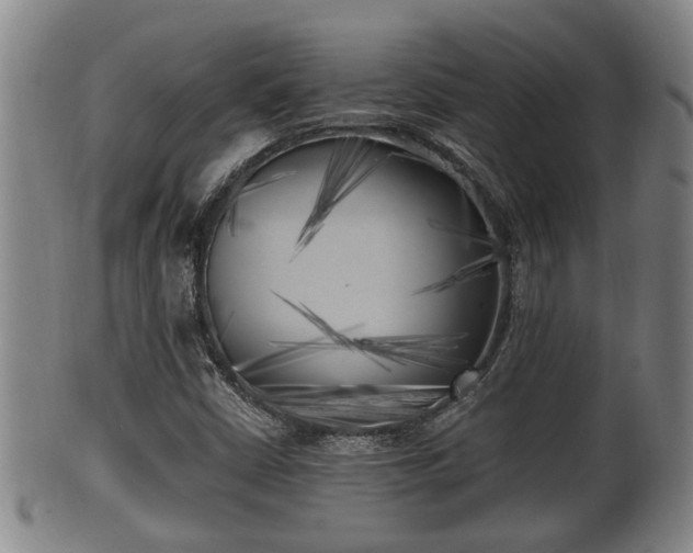 X0000100871402200806271101