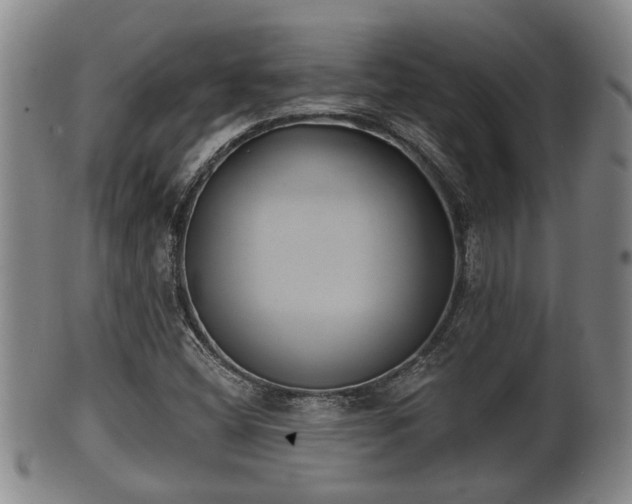 X0000100871404200806271101