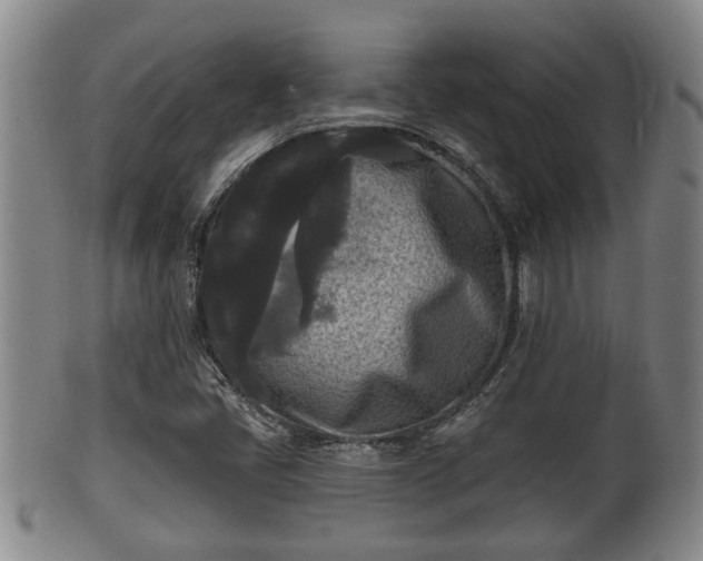 X0000100871405200806271101