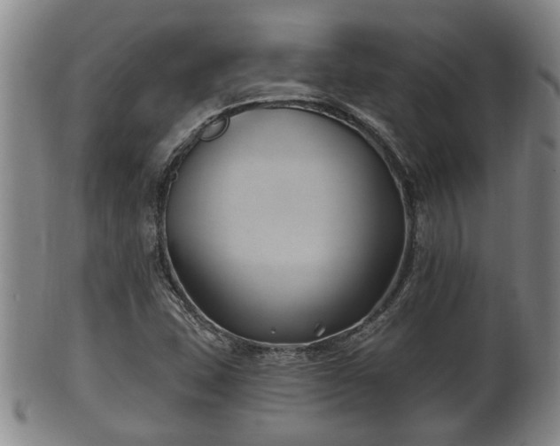 X0000100871407200806271101