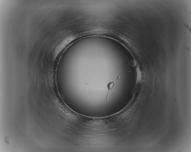 X0000100871410200806271101