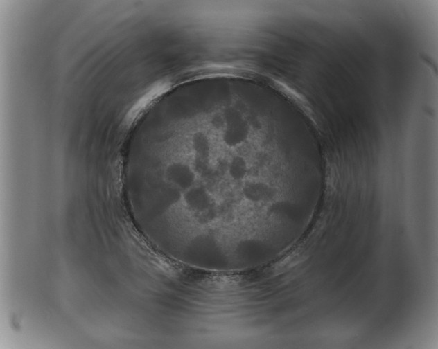 X0000100871411200806271101