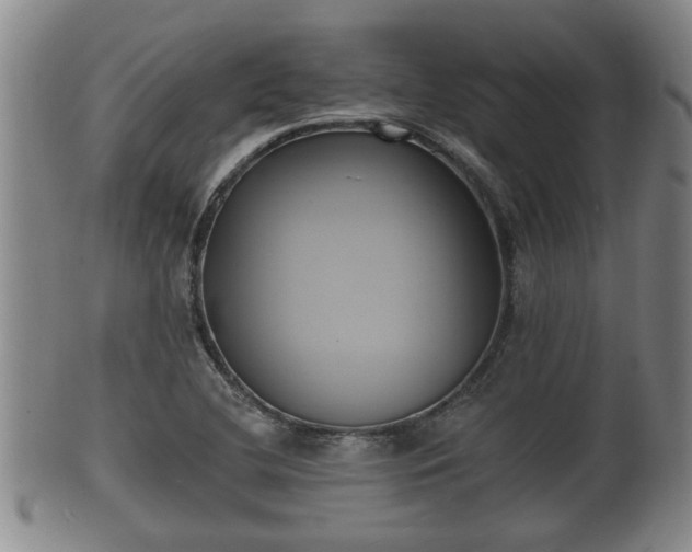 X0000100871412200806271101