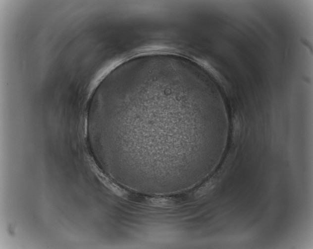 X0000100871413200806271101