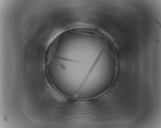 X0000100871415200806271101