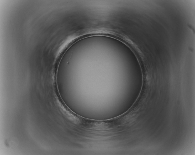 X0000100871416200806271101