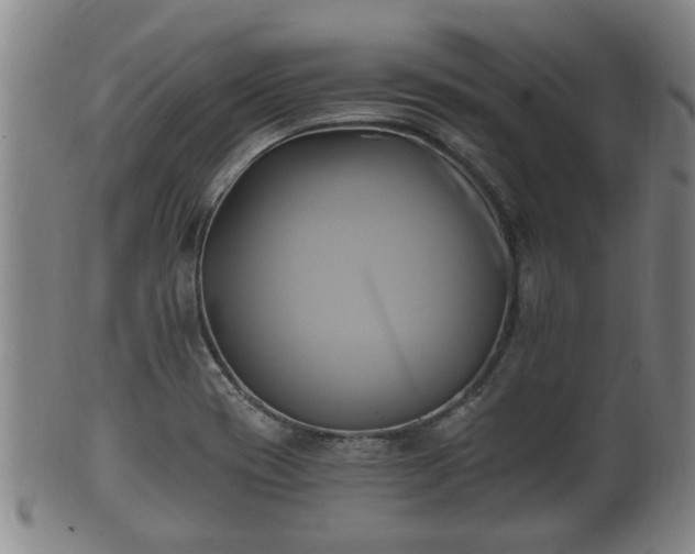 X0000100871417200806271101