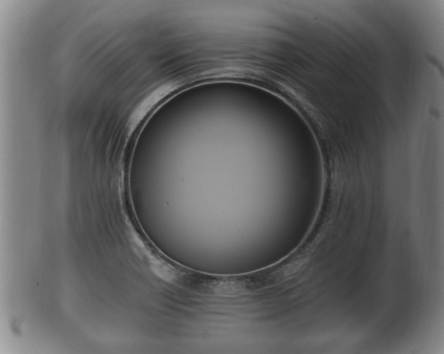 X0000100871418200806271101