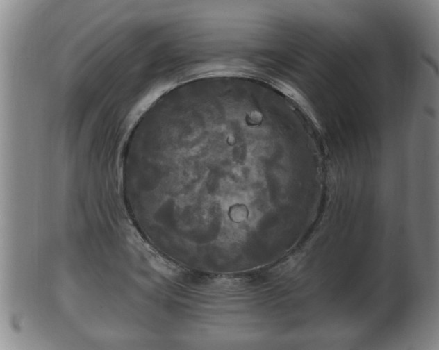 X0000100871419200806271101