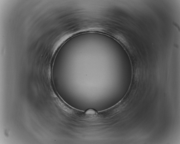 X0000100871420200806271101