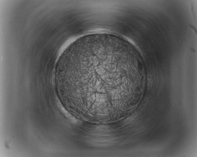 X0000100871421200806271101