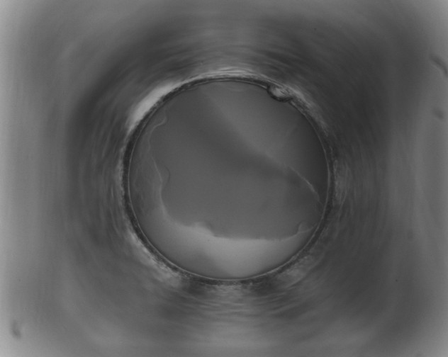 X0000100871422200806271101